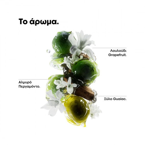 L'oreal Serie Expert Metal Detox Μάσκα μαλλιών 500ml